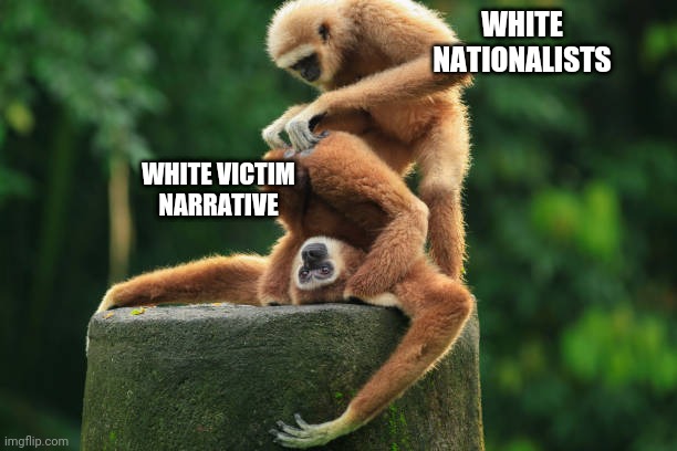 Alt right source | WHITE NATIONALISTS; WHITE VICTIM NARRATIVE | image tagged in pulled out of your ass monkeys | made w/ Imgflip meme maker