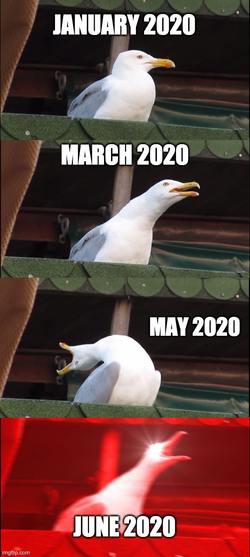 Inhaling Seagull Meme | JANUARY 2020; MARCH 2020; MAY 2020; JUNE 2020 | image tagged in memes,inhaling seagull,coronavirus,corona,quarantine,funny | made w/ Imgflip meme maker