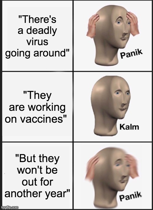 Panik Kalm Panik Meme | "There's a deadly virus going around"; "They are working on vaccines"; "But they won't be out for another year" | image tagged in memes,panik kalm panik,coronavirus,2020,fml,corona | made w/ Imgflip meme maker