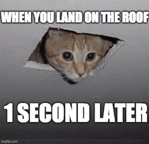 doh | image tagged in ceiling cat | made w/ Imgflip meme maker