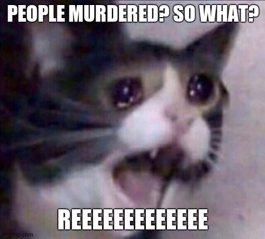 Cat reeee | PEOPLE MURDERED? SO WHAT? REEEEEEEEEEEEE | image tagged in cat reeee | made w/ Imgflip meme maker