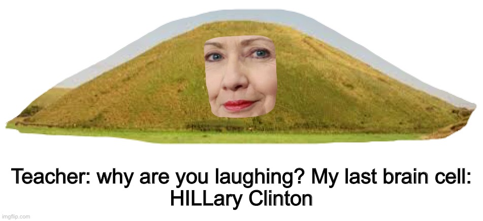 Teacher: why are you laughing? My last brain cell:
HILLary Clinton | made w/ Imgflip meme maker