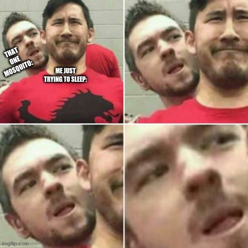 Markiplier Stalker | THAT ONE MOSQUITO:; ME JUST TRYING TO SLEEP: | image tagged in markiplier stalker | made w/ Imgflip meme maker