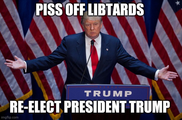 Donald Trump | PISS OFF LIBTARDS RE-ELECT PRESIDENT TRUMP | image tagged in donald trump | made w/ Imgflip meme maker