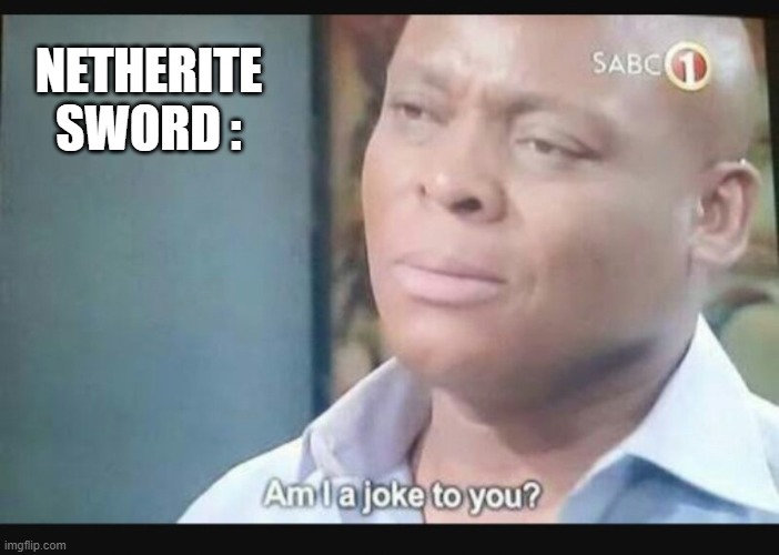 Am I a joke to you? | NETHERITE SWORD : | image tagged in am i a joke to you | made w/ Imgflip meme maker