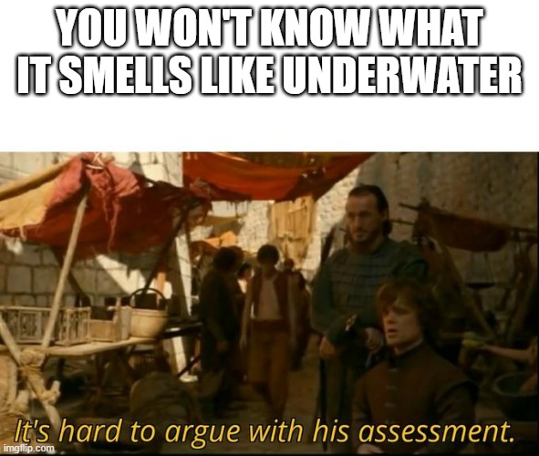It's hard to argue with his assessment | YOU WON'T KNOW WHAT IT SMELLS LIKE UNDERWATER | image tagged in it's hard to argue with his assessment | made w/ Imgflip meme maker