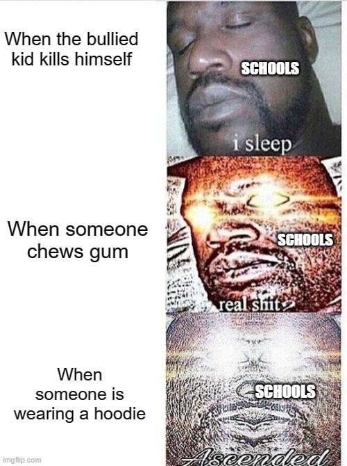 Schools everytime |  When the bullied kid kills himself; SCHOOLS; When someone chews gum; SCHOOLS; When someone is wearing a hoodie; SCHOOLS | image tagged in i sleep meme with ascended template,school,unhelpful | made w/ Imgflip meme maker