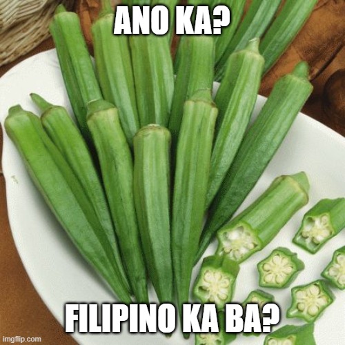 Okra | ANO KA? FILIPINO KA BA? | image tagged in okra | made w/ Imgflip meme maker