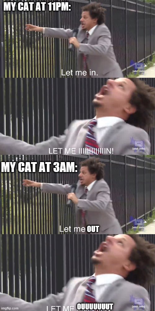 MY CAT AT 11PM:; MY CAT AT 3AM:; OUT; OUUUUUUUT | image tagged in let me in | made w/ Imgflip meme maker
