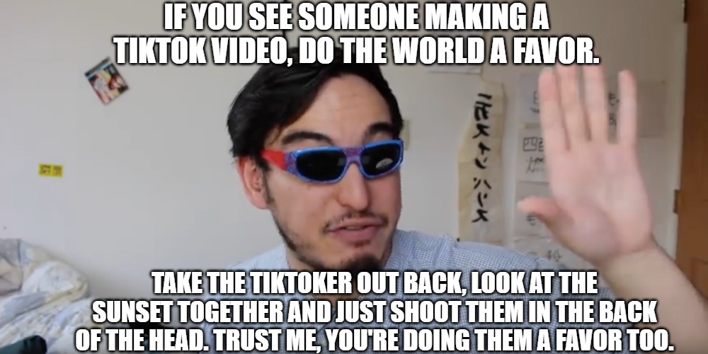 IT'S TIME TO STOP | IF YOU SEE SOMEONE MAKING A TIKTOK VIDEO, DO THE WORLD A FAVOR. TAKE THE TIKTOKER OUT BACK, LOOK AT THE SUNSET TOGETHER AND JUST SHOOT THEM IN THE BACK OF THE HEAD. TRUST ME, YOU'RE DOING THEM A FAVOR TOO. | image tagged in filthy frank,papa franku,it's time to stop | made w/ Imgflip meme maker