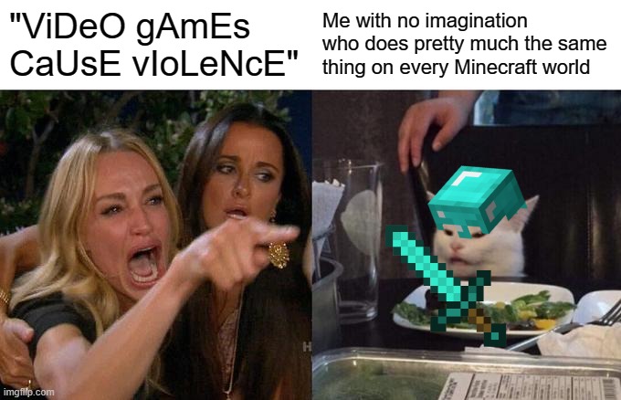 Woman Yelling At Cat | "ViDeO gAmEs CaUsE vIoLeNcE"; Me with no imagination who does pretty much the same thing on every Minecraft world | image tagged in memes,woman yelling at cat | made w/ Imgflip meme maker