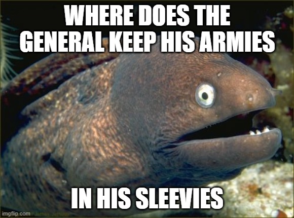 bad joke eel | WHERE DOES THE GENERAL KEEP HIS ARMIES; IN HIS SLEEVIES | image tagged in memes,bad joke eel,moray,electric | made w/ Imgflip meme maker