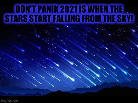 DON'T PANIK 2021 IS WHEN THE STARS START FALLING FROM THE SKY! | made w/ Imgflip meme maker