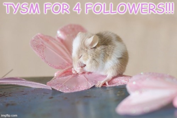tysm!!! | TYSM FOR 4 FOLLOWERS!!! | image tagged in thank you,yayaya,happy,hugs,mouse,flower | made w/ Imgflip meme maker