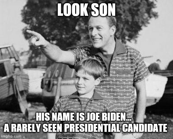 Look Son Meme | LOOK SON; HIS NAME IS JOE BIDEN...    A RARELY SEEN PRESIDENTIAL CANDIDATE | image tagged in memes,look son | made w/ Imgflip meme maker