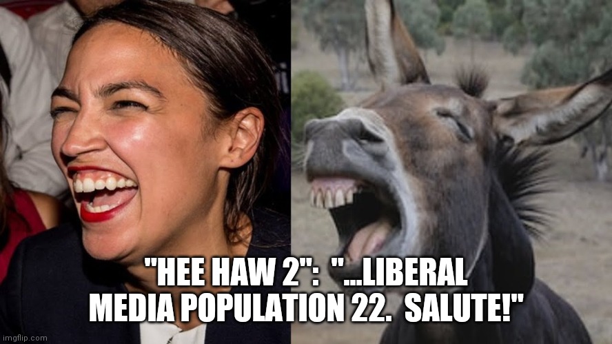 "Hee Haw 2" | "HEE HAW 2":  "...LIBERAL MEDIA POPULATION 22.  SALUTE!" | image tagged in liberal media,abc,cnn fake news,cbs,msnbc | made w/ Imgflip meme maker