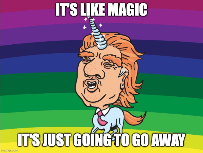 Trumps Government Rona Response | IT'S LIKE MAGIC; IT'S JUST GOING TO GO AWAY | image tagged in donald trump | made w/ Imgflip meme maker