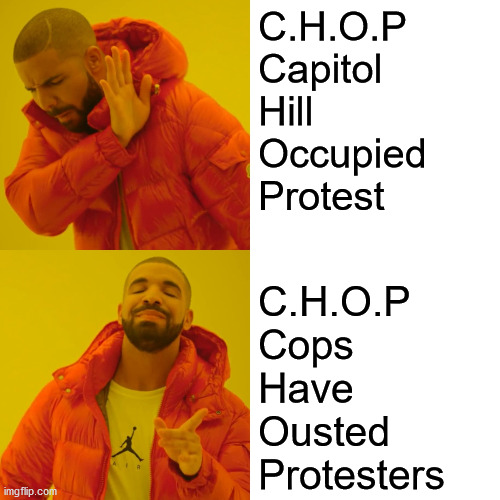 Drake Seattle Hotline Bling | C.H.O.P
Capitol
Hill
Occupied 
Protest; C.H.O.P
Cops
Have
Ousted
Protesters | image tagged in memes,drake hotline bling,chop,seattle,protesters,first world problems | made w/ Imgflip meme maker