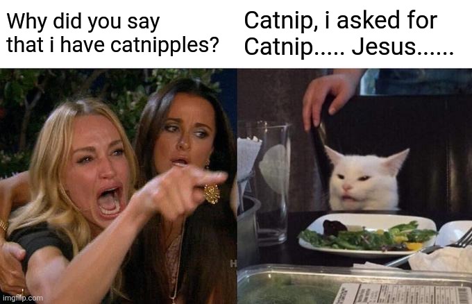 Woman Yelling At Cat | Why did you say that i have catnipples? Catnip, i asked for Catnip..... Jesus...... | image tagged in memes,woman yelling at cat | made w/ Imgflip meme maker
