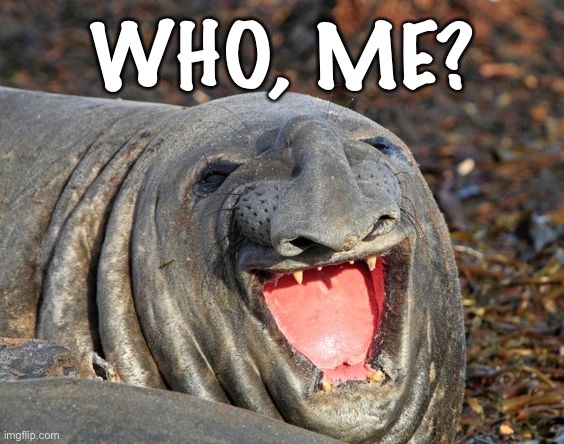 I’ve been accused of being a “sea-lion.” But I provide sources unprompted way more often than I request them. | WHO, ME? | image tagged in laughing sea lion,imgflip trolls,sea lion,debate,the daily struggle imgflip edition,first world imgflip problems | made w/ Imgflip meme maker