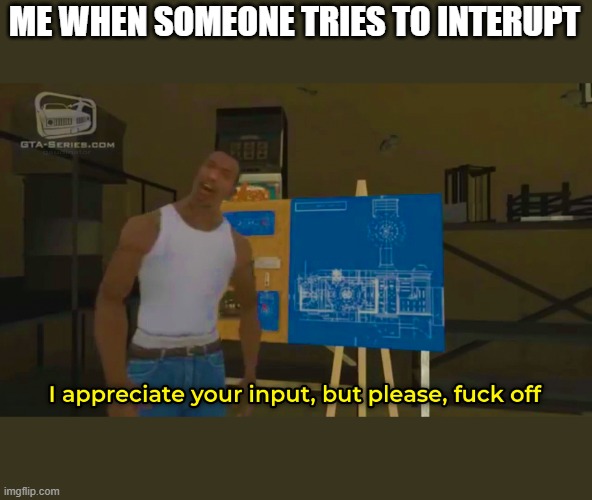 Why not? | ME WHEN SOMEONE TRIES TO INTERUPT | image tagged in gta san andreas | made w/ Imgflip meme maker