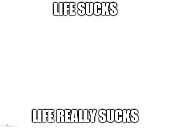 Blank White Template | LIFE SUCKS; LIFE REALLY SUCKS | image tagged in blank white template | made w/ Imgflip meme maker