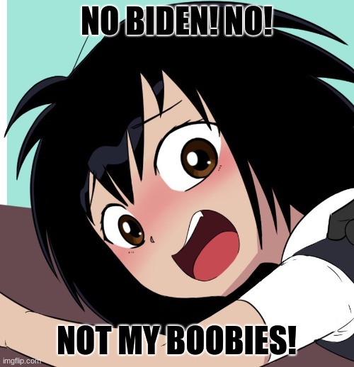 NO BIDEN! NO! NOT MY BOOBIES! | made w/ Imgflip meme maker