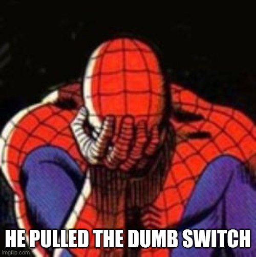 Sad Spiderman Meme | HE PULLED THE DUMB SWITCH | image tagged in memes,sad spiderman,spiderman | made w/ Imgflip meme maker