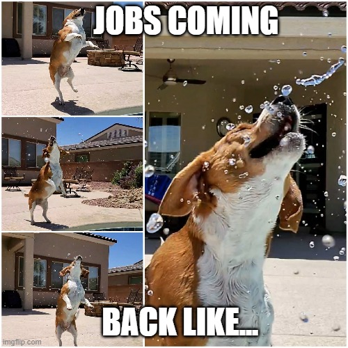 Jobs coming at us like... | JOBS COMING; BACK LIKE... | image tagged in overwhelmed | made w/ Imgflip meme maker
