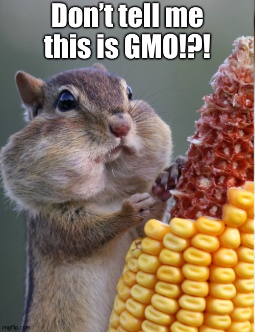 Don’t tell me this is GMO!?! | made w/ Imgflip meme maker