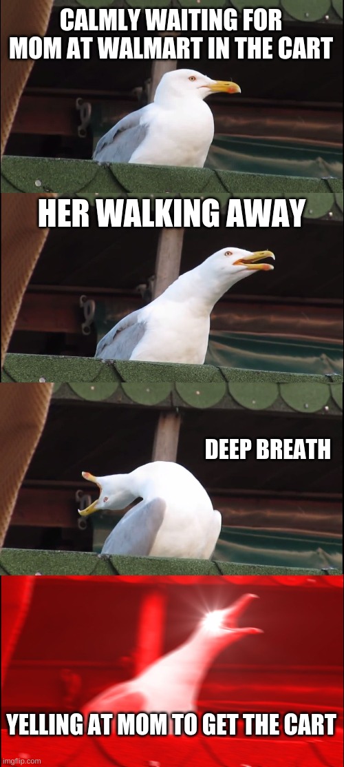 The yelling bird | CALMLY WAITING FOR MOM AT WALMART IN THE CART; HER WALKING AWAY; DEEP BREATH; YELLING AT MOM TO GET THE CART | image tagged in memes,inhaling seagull | made w/ Imgflip meme maker