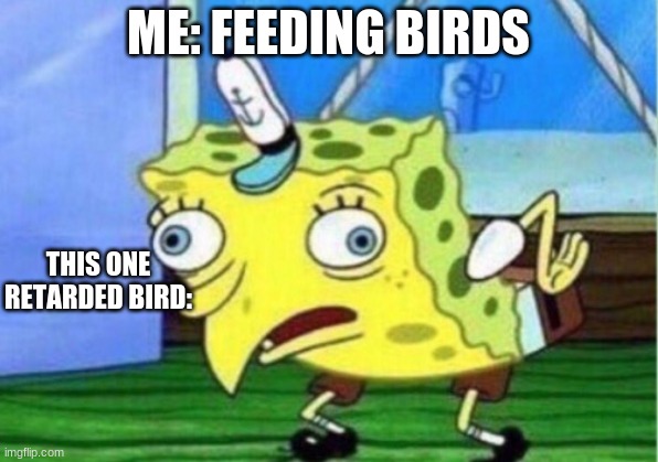 Mocking Spongebob Meme | ME: FEEDING BIRDS; THIS ONE RETARDED BIRD: | image tagged in memes,mocking spongebob | made w/ Imgflip meme maker