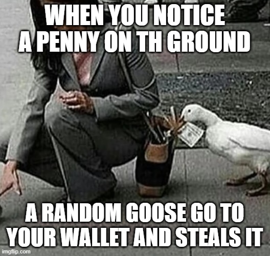 Goose | WHEN YOU NOTICE A PENNY ON TH GROUND; A RANDOM GOOSE GO TO YOUR WALLET AND STEALS IT | image tagged in goose,steal,funny,money,wallet | made w/ Imgflip meme maker