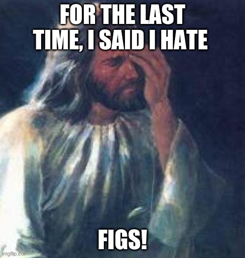 He actually hated the fig tree for some reason | FOR THE LAST TIME, I SAID I HATE; FIGS! | image tagged in jesus facepalm,lgbt,holy bible | made w/ Imgflip meme maker
