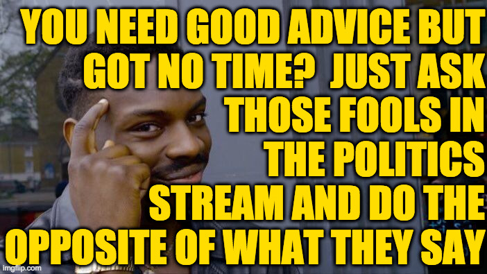 It might be better than nothing. | YOU NEED GOOD ADVICE BUT
GOT NO TIME?  JUST ASK
THOSE FOOLS IN
THE POLITICS
STREAM AND DO THE
OPPOSITE OF WHAT THEY SAY | image tagged in memes,roll safe think about it,politics,resources,thank them later | made w/ Imgflip meme maker