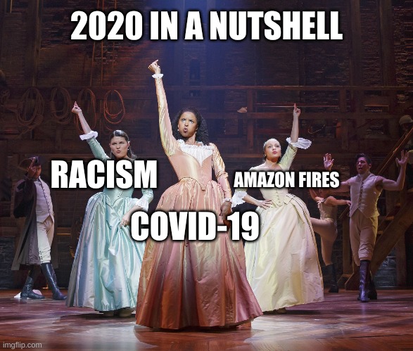 My new favourite template... | 2020 IN A NUTSHELL; RACISM; AMAZON FIRES; COVID-19 | image tagged in hamilton angelica | made w/ Imgflip meme maker