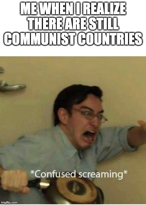 We've been tricked, backstabbed, and possibly bamboozled | ME WHEN I REALIZE THERE ARE STILL COMMUNIST COUNTRIES | image tagged in confused screaming | made w/ Imgflip meme maker