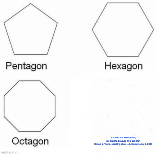 Pentagon Hexagon Octagon | "It's a life and we're putting out that life, because it's a bad life."

Donald J. Trump, speaking about ... [unknown], July 2, 2020 | image tagged in memes,pentagon hexagon octagon | made w/ Imgflip meme maker