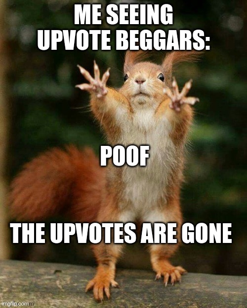 new template | ME SEEING UPVOTE BEGGARS:; POOF; THE UPVOTES ARE GONE | image tagged in squirrel,poof | made w/ Imgflip meme maker