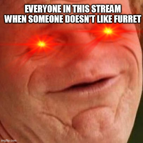 EVERYONE IN THIS STREAM WHEN SOMEONE DOESN'T LIKE FURRET | made w/ Imgflip meme maker