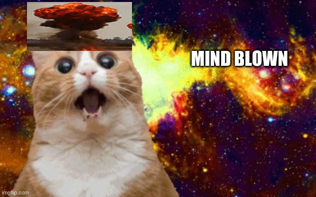 Mind Blown cat | MIND BLOWN | image tagged in mind blown cat | made w/ Imgflip meme maker