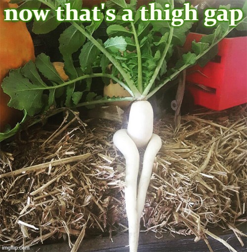 Scrumptious. |  now that's a thigh gap | image tagged in seductive radish 20 | made w/ Imgflip meme maker
