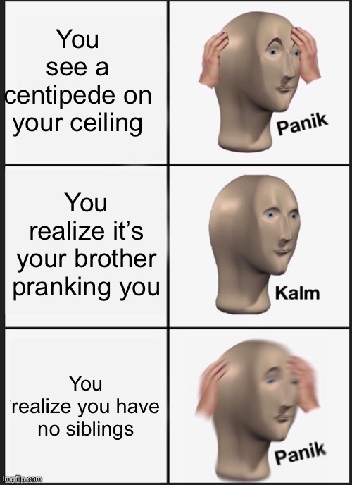 Shitpost | You see a centipede on your ceiling; You realize it’s your brother pranking you; You realize you have no siblings | image tagged in memes,panik kalm panik | made w/ Imgflip meme maker