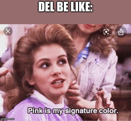 "My colors are blush and bashful" "Her colors are pink and pink" "I like pink" | DEL BE LIKE: | image tagged in steel magnolias,such a nerdxd | made w/ Imgflip meme maker