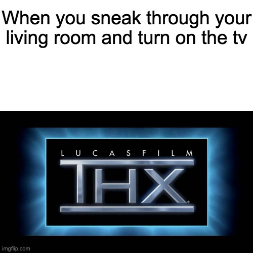 I remember my cousin was sleeping on the couch and I turned on the tv and something was on and it woke my cousin up | When you sneak through your living room and turn on the tv | image tagged in thx logo | made w/ Imgflip meme maker