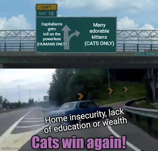 Cycle of Inequality: Humans vs. Cats | Capitalism's grim toll on the powerless (HUMANS ONLY); Many adorable kittens (CATS ONLY); Home insecurity, lack of education or wealth; Cats win again! | image tagged in memes,left exit 12 off ramp,poverty,because capitalism,cats | made w/ Imgflip meme maker