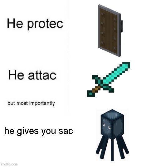 minecraft | he gives you sac | image tagged in blank white template,minecraft,squid | made w/ Imgflip meme maker