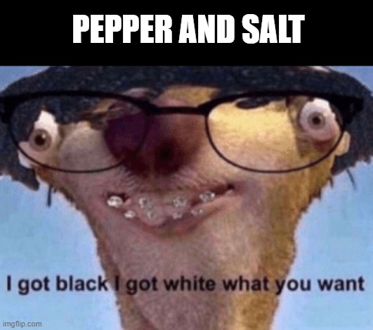 I got black I got white what ya want | PEPPER AND SALT | image tagged in i got black i got white what ya want,disease,memes,pepper,salt | made w/ Imgflip meme maker