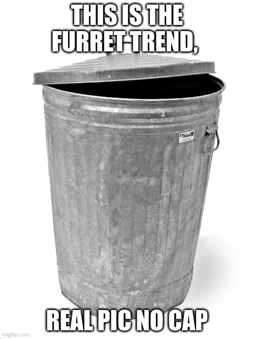 Trash Can | THIS IS THE FURRET TREND, REAL PIC NO CAP | image tagged in trash can | made w/ Imgflip meme maker