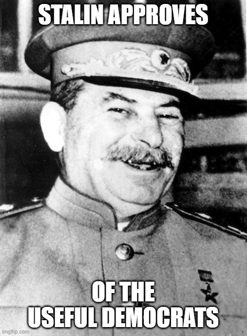 Stalin smile | STALIN APPROVES OF THE USEFUL DEMOCRATS | image tagged in stalin smile | made w/ Imgflip meme maker